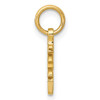 10K Yellow Gold Solid Polished Chinese Long Life Charm