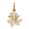 10K Yellow Gold Solid Polished Chinese Long Life Charm