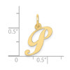 10K Yellow Gold Small Fancy Script Initial P Charm