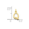 10K Yellow Gold Cutout Letter Q Initial Charm