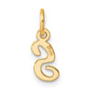 14K Yellow Gold Small Script Letter S Initial Charm
