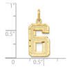 10K Yellow Gold Casted Medium Diamond-cut Number 6 Charm