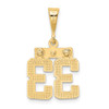 10K Yellow Gold Casted Small Polished Number 33 Charm