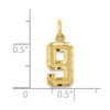 10K Yellow Gold Casted Small Diamond-cut Number 9 Charm