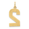 10K Yellow Gold Casted Large Diamond-cut Number 2 Charm