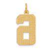 10K Yellow Gold Casted Large Diamond-cut Number 6 Charm