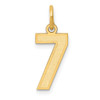 10K Yellow Gold Small Satin Number 7 Charm