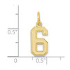 10K Yellow Gold Small Satin Number 6 Charm