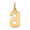 10K Yellow Gold Small Satin Number 6 Charm