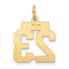 10K Yellow Gold Small Satin Number 23 Charm