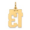 10K Yellow Gold Small Satin Number 13 Charm