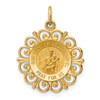 14K Yellow Gold Our Lady of Mt. Carmel Medal Charm XR653