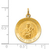 14K Yellow Gold Our Lady of Mt. Carmel Medal Charm XR652