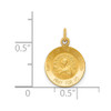 14K Yellow Gold Our Lady Of The Assumption Medal Charm