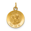 14K Yellow Gold Saint Mark Medal Charm