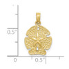 10K Yellow Gold Polished Sand Dollar Charm