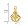 10K Yellow Gold Polished and Engraved Shell Charm
