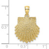 10K Yellow Gold 2-D Beaded Scallop Shell Charm 10K7655