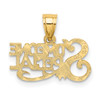 10K Yellow Gold SOMEONE SPECIAL Charm