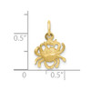 10K Yellow Gold Cancer Zodiac Charm 10ZC479
