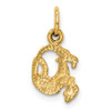 10K Yellow Gold Capricorn Zodiac Charm 10ZC485