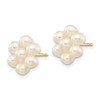 10k Yellow Gold 3-4mm White Egg Freshwater Cultured Pearl Flower Earrings