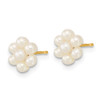 10k Yellow Gold 2-3mm White Button Freshwater Cultured Pearl Flower Earrings