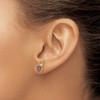 14K Yellow Gold Amethyst and Peridot Grapes Post Earrings