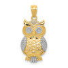 10K Yellow Gold & Rhodium-plating Polished & Textured Owl Pendant