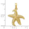 10K Yellow Gold Polished Open-Backed Starfish Pendant 10C2538