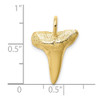 10K Yellow Gold Shark Tooth Pendant
