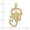 10K Yellow Gold Solid Polished Open-Backed Scorpion Pendant