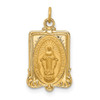 14K Yellow Gold Solid Polished/Satin Rectangular Miraculous Medal Pendant