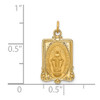 14K Yellow Gold Solid Polished/Satin Rectangular Miraculous Medal Pendant