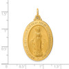 14K Yellow Gold Solid Polished/Satin Large Oval Miraculous Medal Pendant XR1747