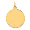 14K Yellow Gold Solid Polished/Satin Round Our Lady of Guadalupe Medal Pendant