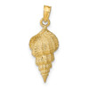 10K Yellow Gold Conch Shell Pendant 10C3370