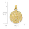 10K Yellow Gold Sand Dollar Pendant 10K2937