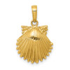 10K Yellow Gold Scallop Shell Pendant 10C3375