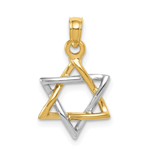 14k Yellow and White Gold Polished Star Of David Pendant