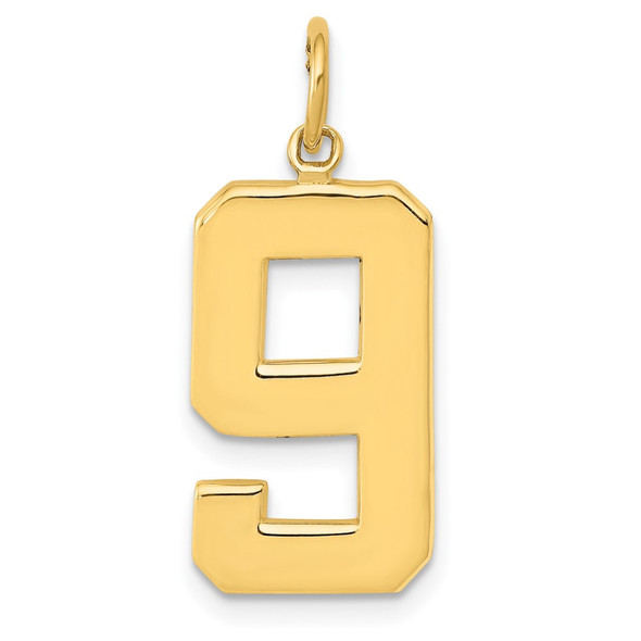 14k Yellow Gold Casted Large Polished Number 9 Charm