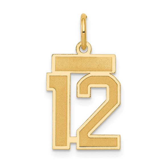 14k Yellow Gold Small Satin Number 12 Charm