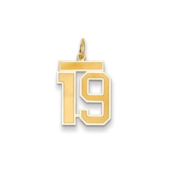 14k Yellow Gold Medium Satin Number 19 Charm