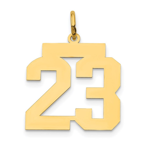 14k Yellow Gold Medium Polished Number 23 Charm LM23