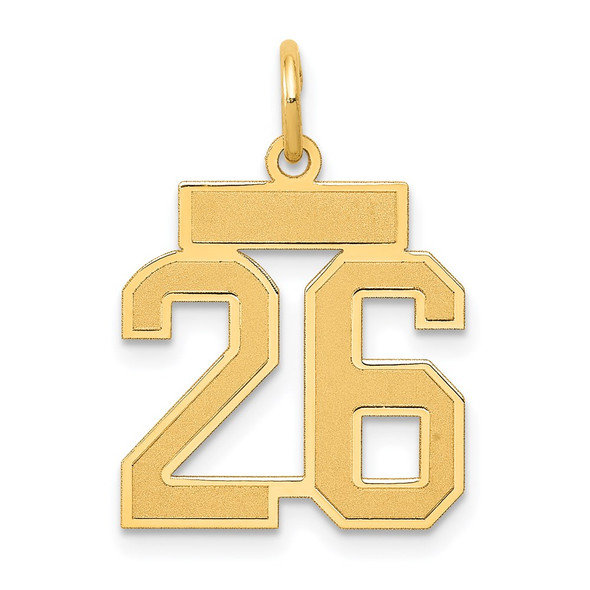 14k Yellow Gold Small Satin Number 26 Charm