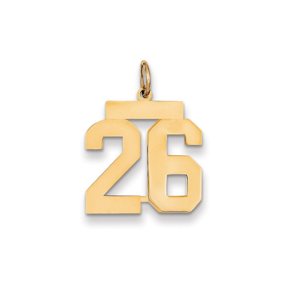 14k Yellow Gold Medium Polished Number 26 Charm LM26