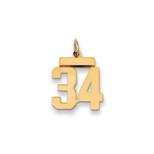 14k Yellow Gold Small Polished Number 34 Charm LS34