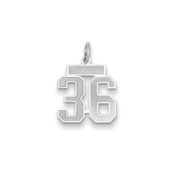 14k White Gold Small Satin Number 36 Charm