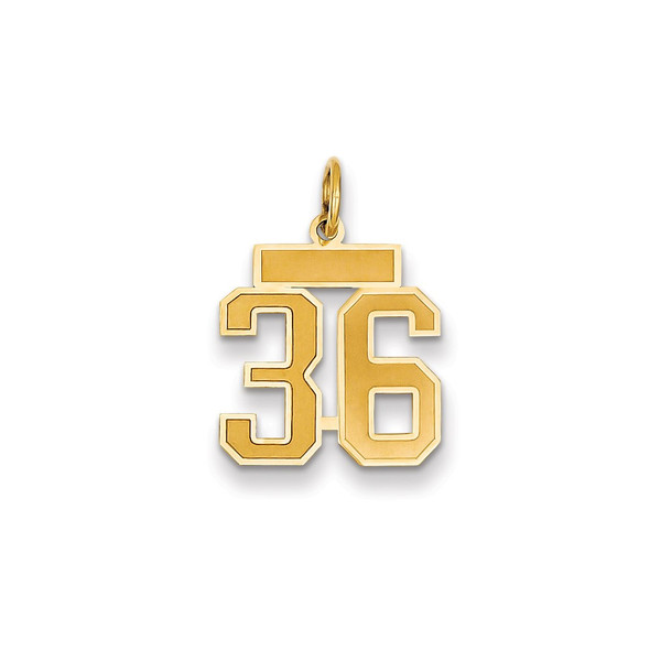 14k Yellow Gold Small Satin Number 36 Charm