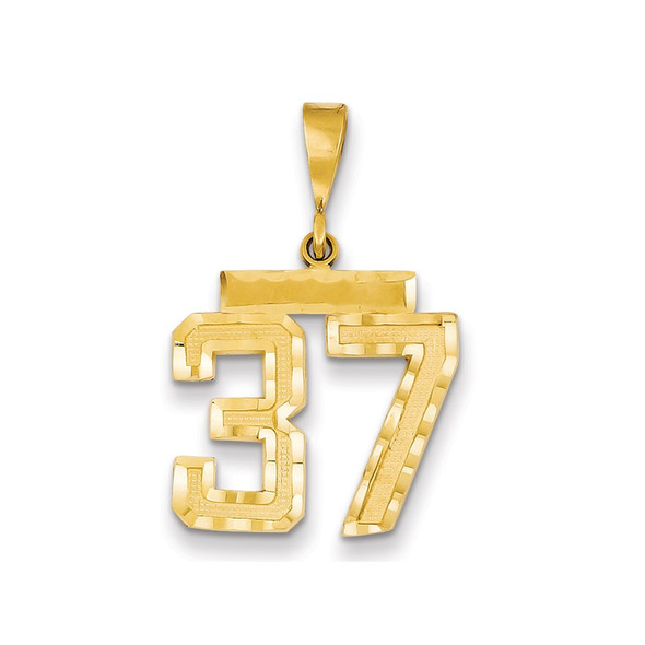 14k Yellow Gold Medium Diamond-Cut Number 37 Charm